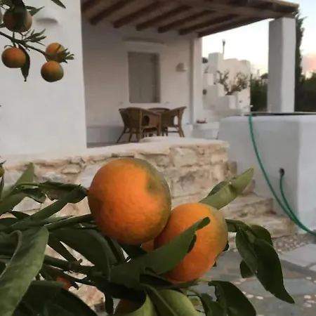 Mariart Cycladic Villas Levantis Holiday home